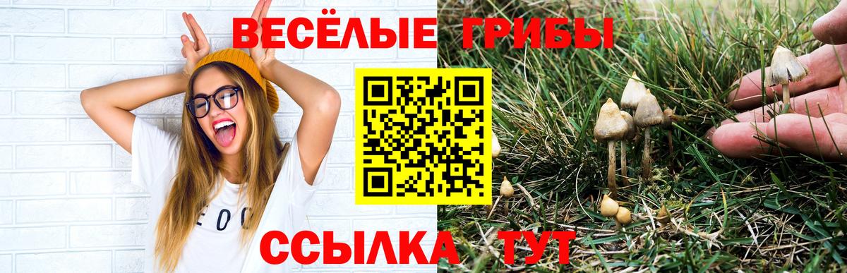 Алушта  Псилоцибиновые грибы Magic Shrooms  Вход с VPN 